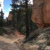 Perhaps not the wow factor of other Bryce Canyon NP trails, but enjoyable rock and views nonetheless.