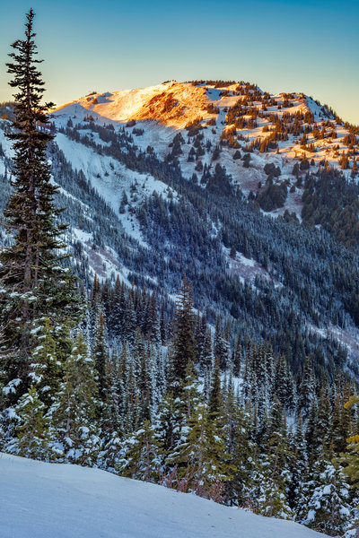 Views from Hurricane Ridge