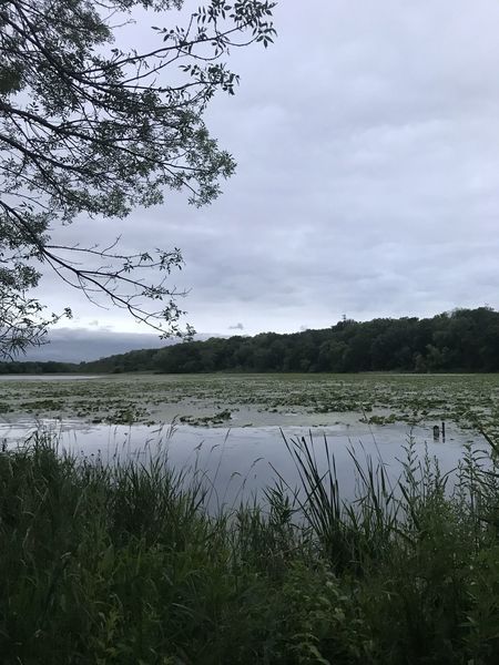 Crosby Lake
