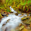 A creek near the Carbon River