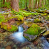 A small creek a bit uphill off trail from the Carbon River Basin