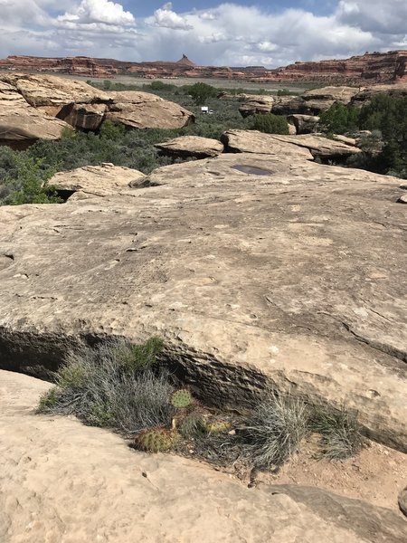 Looking back toward the trailhead from atop the slickrock path.