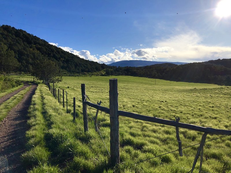 The trail/road along the meadow.