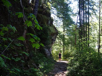 On the long-abandoned road that is now the trail
