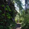 On the long-abandoned road that is now the trail