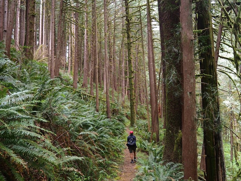 On the east side of Nelson Ridge.