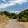 Beginning of the unpaved section of Wildcat Creek Trail.