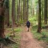 The trail is signed here and there with wooden posts