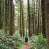 Starting down the Berry Creek Trail.