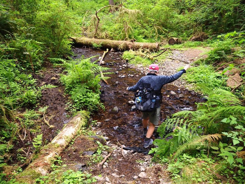 Crossing Berry Creek