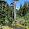 Fall Creek and a glimpse at South Sister.