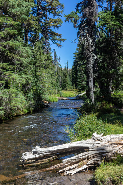 Fall Creek crossing