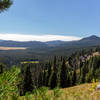 Deschutes National Forest from Soda Creek Trail.