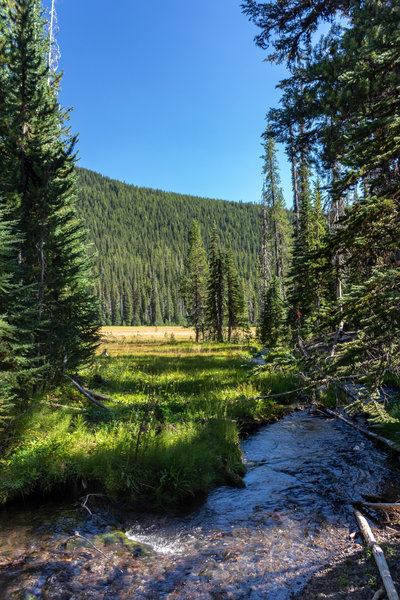 A small tributary to Soda Creek along a beautiful meadow.