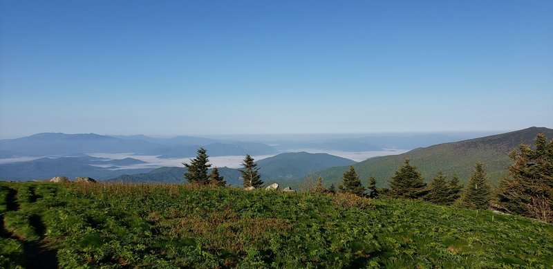 Saturday Morning View of Grassy Ridge Bald