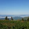 Saturday Morning View of Grassy Ridge Bald