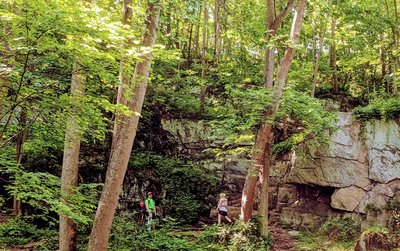 trail that passes by the falls