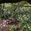 A shady picnic table halfway to the falls.