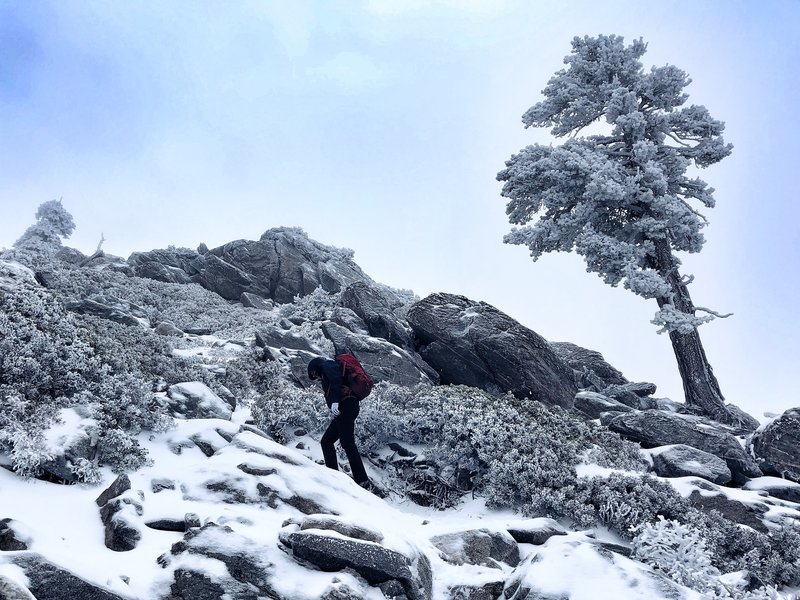 Marching to the summit