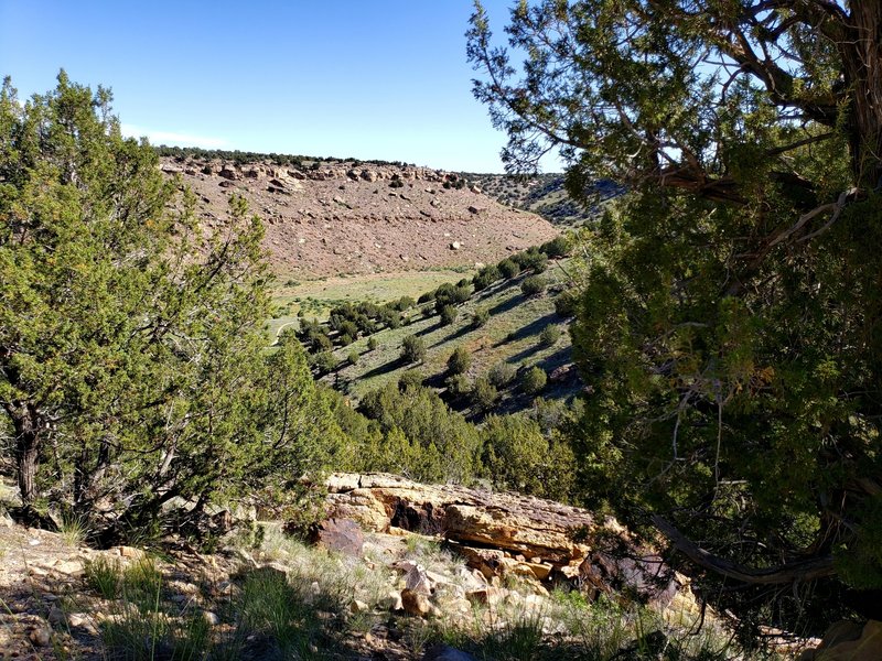 View into Withers Canyon