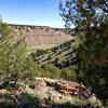 View into Withers Canyon