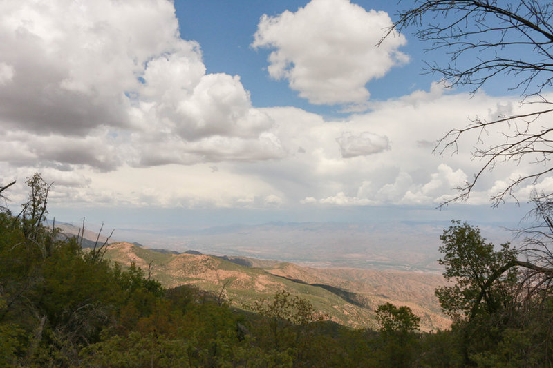 Looking north east from Brown's Peak Trail