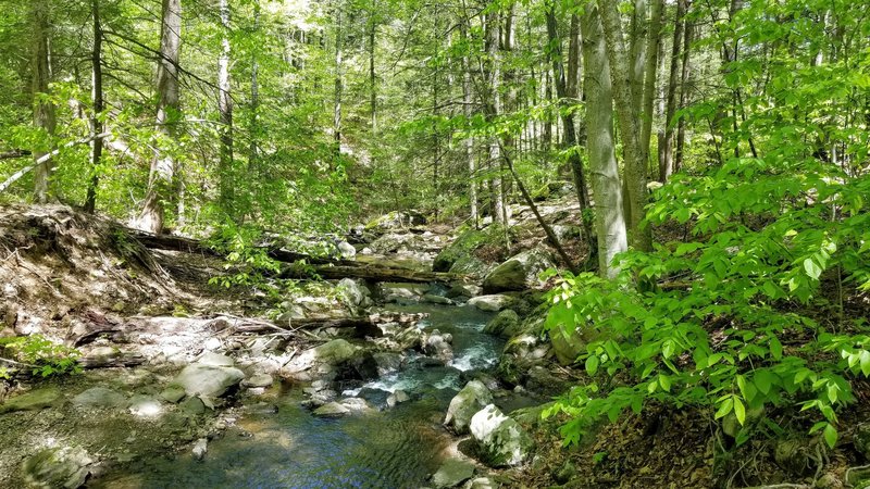 Steam at the bottom of the ravine.