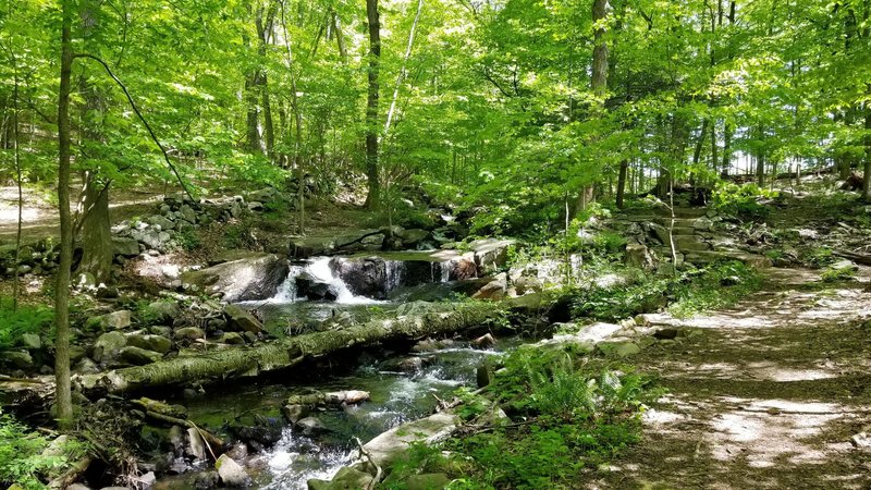 Waterfall in Teatown towards the end of the trail.