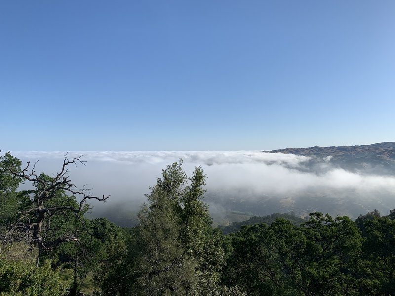 Ohlone Trail to Rose Peak