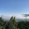 Ohlone Trail to Rose Peak