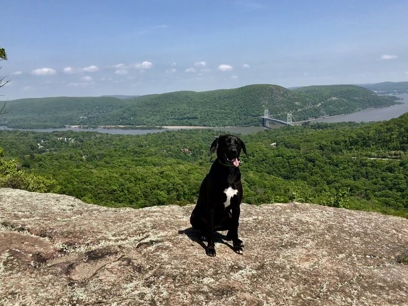 View of the Hudson and Bear Mountain Bridge.