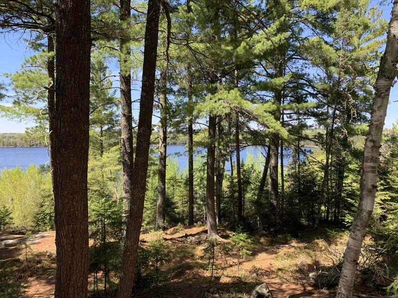 Kabetogama Lake view from trail