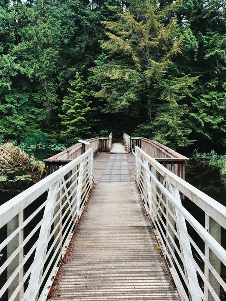 The bridge crossing Lake Swano