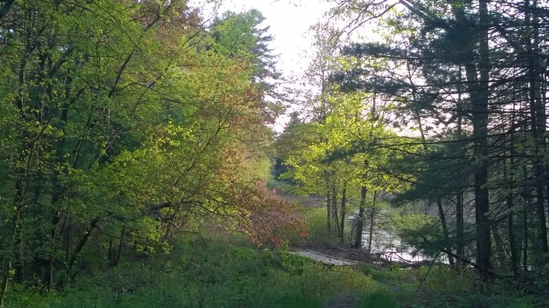 Northern tip of trail next to water.