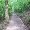 The Mountain Trail is fairly wide and made of crushed rock and dirt. The trail is shaded, which makes it nice to hike in the afternoon.