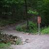 The Floral Trail crosses Fountain Street and starts climbing up toward the Lower Dogwood Trail.