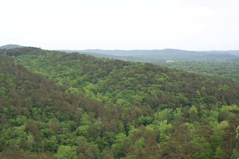 The view from the top of Goat Rock Overlook.