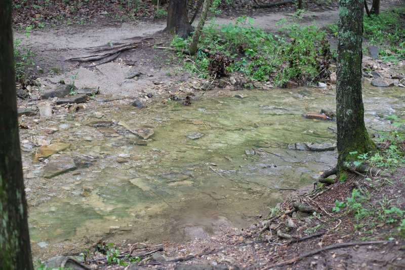 While it may be a simple rock hop on normal days, after a rainstorm, the creek crossing can be tricky.