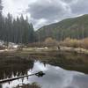 South Fooses Trail beaver pond Memorial Day.