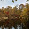 View of Peaceful Pond in fall foliage.