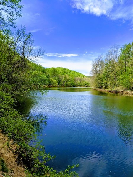 View from boat launch of Daniels Area during the spring bloom.