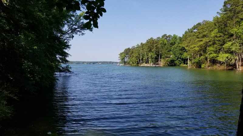 Lake Martin from Wilson Road Trailhead