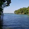 Lake Martin from Wilson Road Trailhead