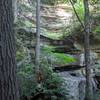 Along the climb up from the Rockcastle River.