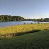 Overlooking the lake and meadow.