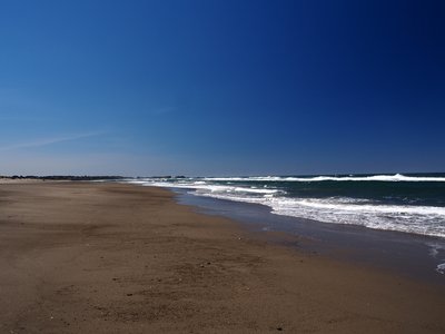 Looking south along the ocean beach at low tide.