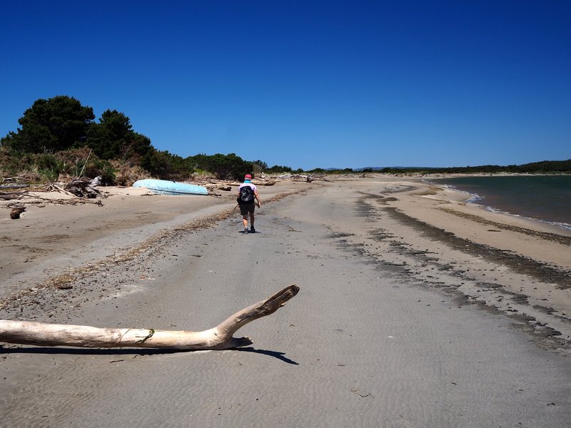 Farther north along the estuary beach