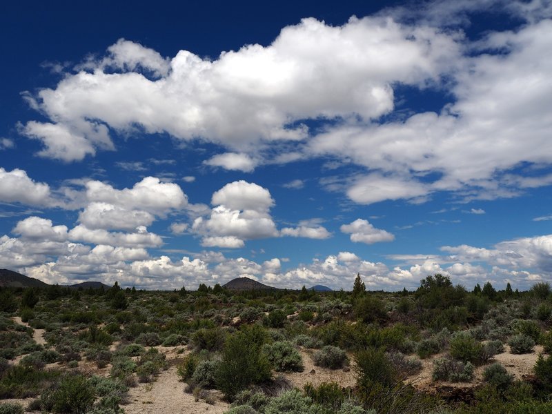 Going west on the Three Sisters Trail with Schonchin Butte in the distance.