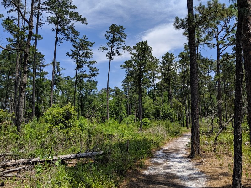 CCC Loop Trail