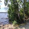 Lakeside on Cedar Loop Trail.